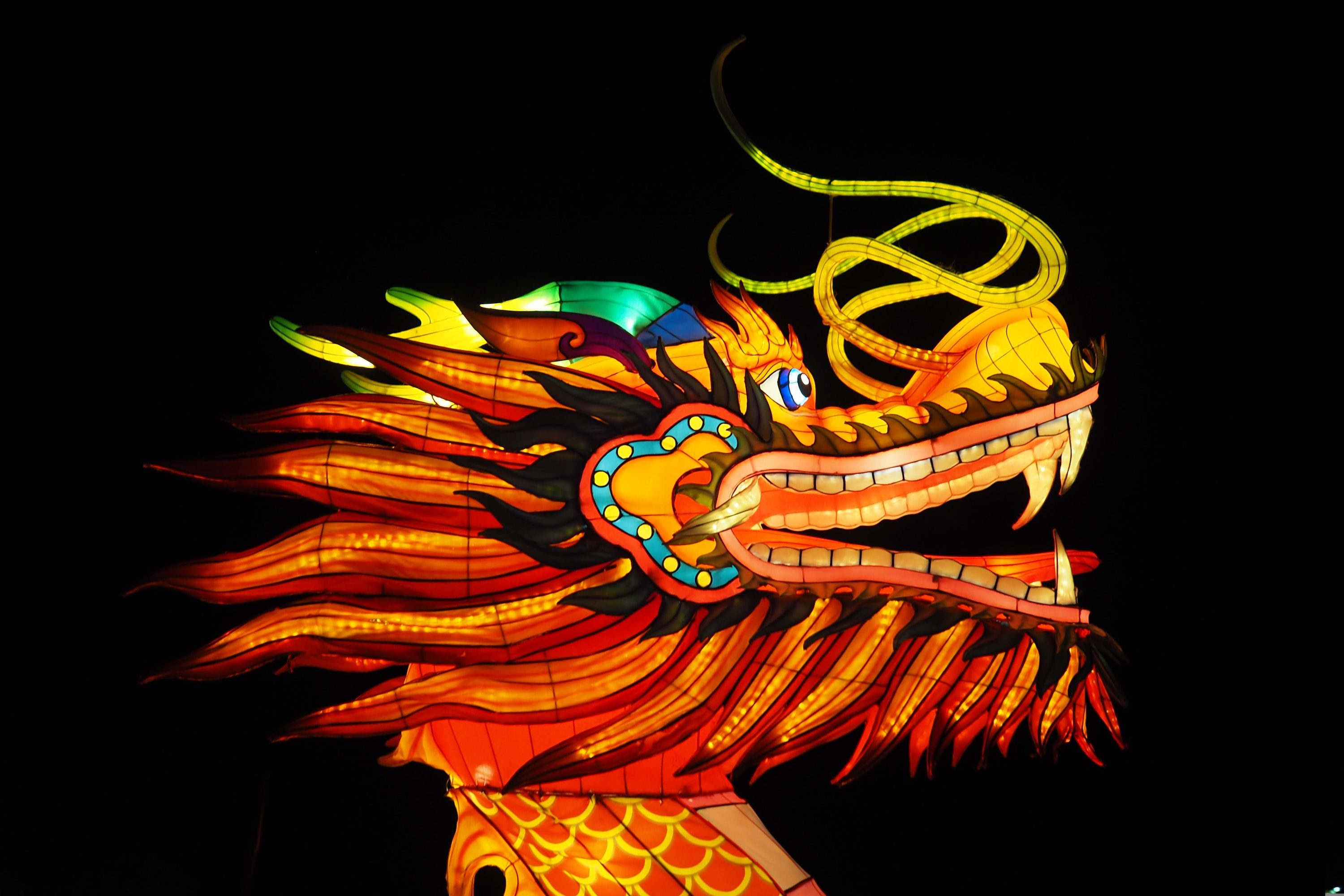 Chinese New Year 7 events happening near you Ticketpass